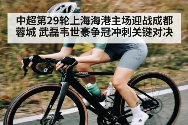 中超第29轮上海海港主场迎战成都蓉城 武磊韦世豪争冠冲刺关键对决